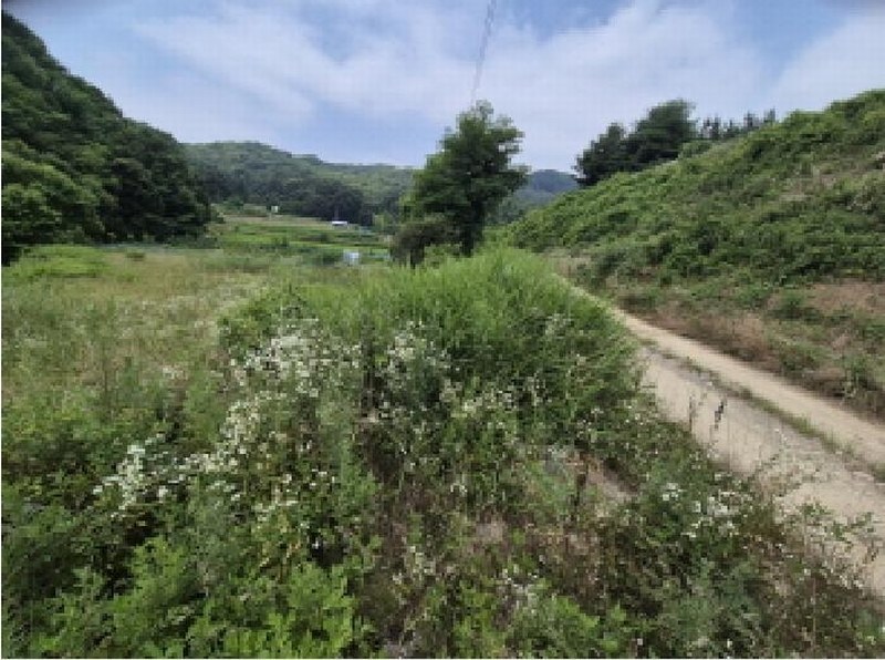 2025타경502787 세종특별자치시 조치원읍 봉산리 239 농지 경매 이미지