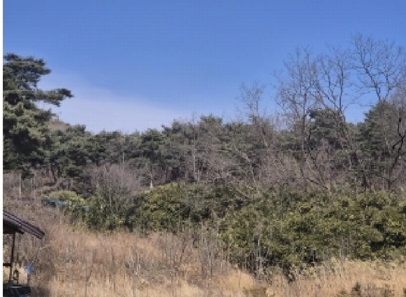 2025타경3585 경상북도 포항시 남구 오천읍 문덕리 산156-2 임야 경매 이미지
