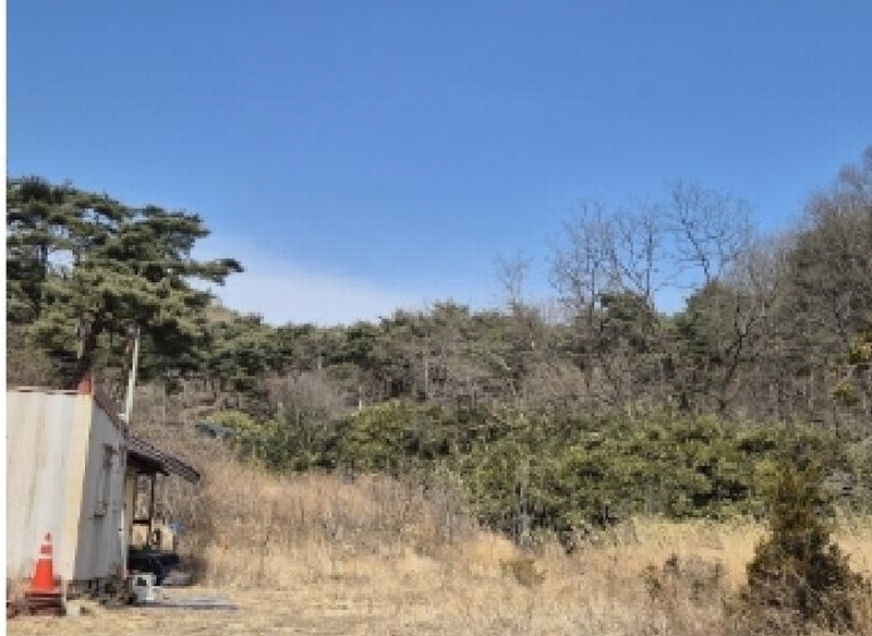 2025타경3585 경상북도 포항시 남구 오천읍 문덕리 산156-2 임야 경매 이미지