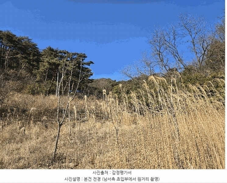 2025타경3585 경상북도 포항시 남구 오천읍 문덕리 산156-2 임야 경매 이미지