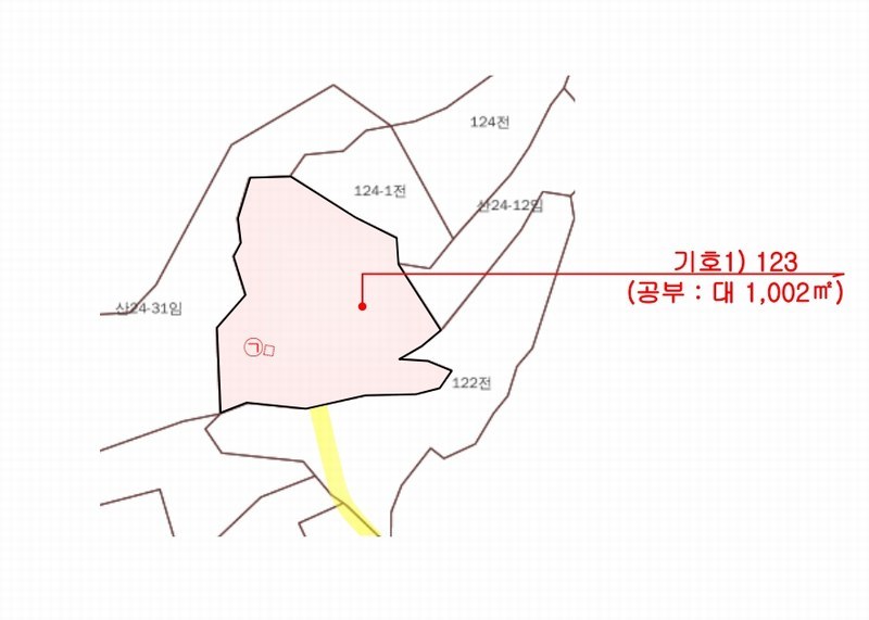 2025타경3736 세종특별자치시 금남면 달전리 123 대지 경매 이미지