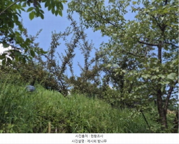 2025타경3736 세종특별자치시 금남면 달전리 123 대지 경매 이미지