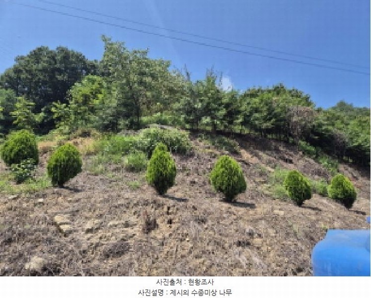 2025타경3736 세종특별자치시 금남면 달전리 123 대지 경매 이미지