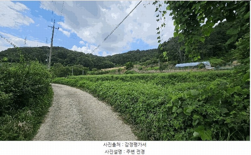 2025타경3736 세종특별자치시 금남면 달전리 123 대지 경매 이미지