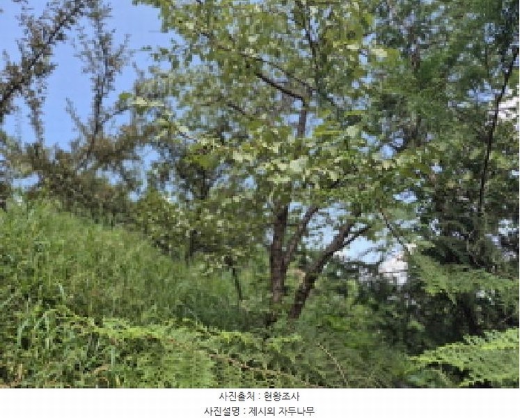 2025타경3736 세종특별자치시 금남면 달전리 123 대지 경매 이미지