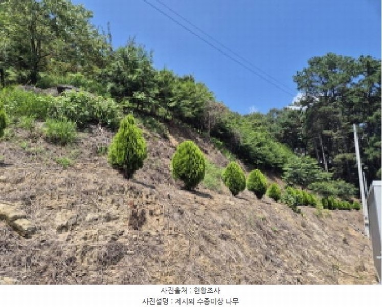 2025타경3736 세종특별자치시 금남면 달전리 123 대지 경매 이미지