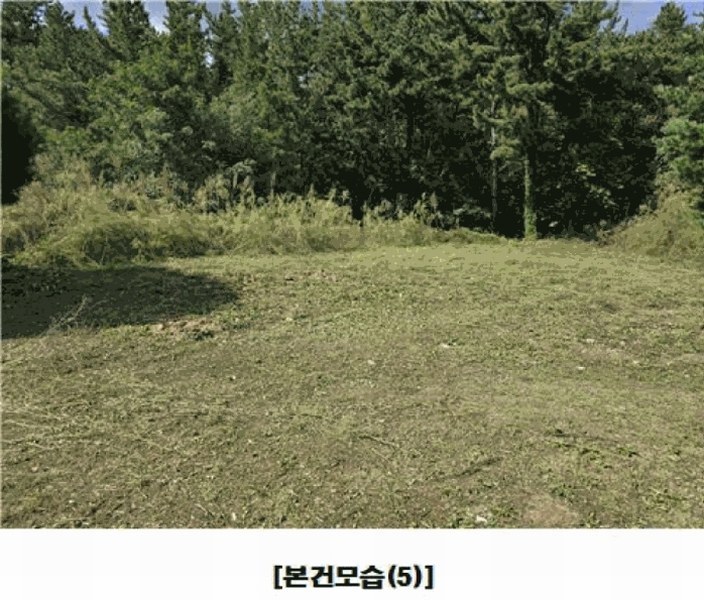 2025타경3841 대전광역시 동구 주촌동 139-1 근린시설 경매 이미지