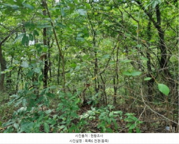 2025타경3841 대전광역시 동구 주촌동 139-1 근린시설 경매 이미지