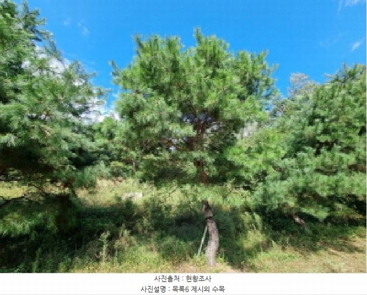 2025타경3841 대전광역시 동구 주촌동 139-1 근린시설 경매 이미지