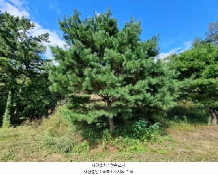 2025타경3841 대전광역시 동구 주촌동 139-1 근린시설 경매 이미지