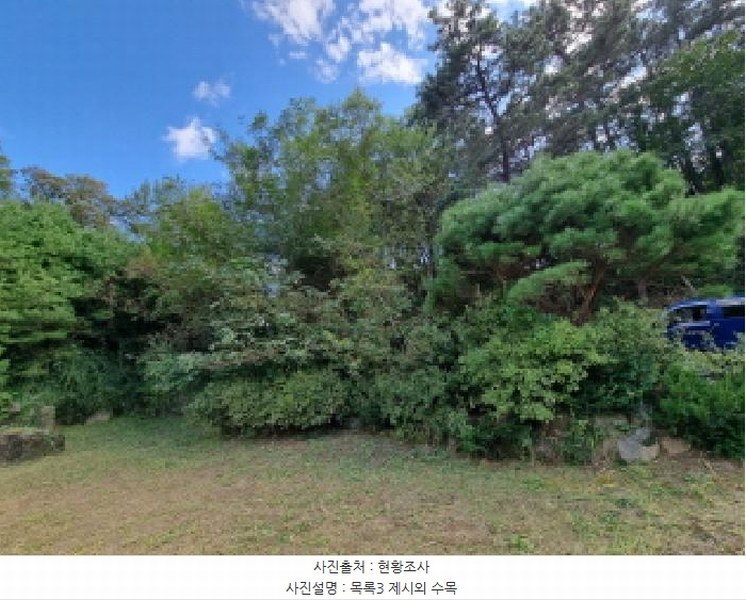 2025타경3841 대전광역시 동구 주촌동 139-1 근린시설 경매 이미지