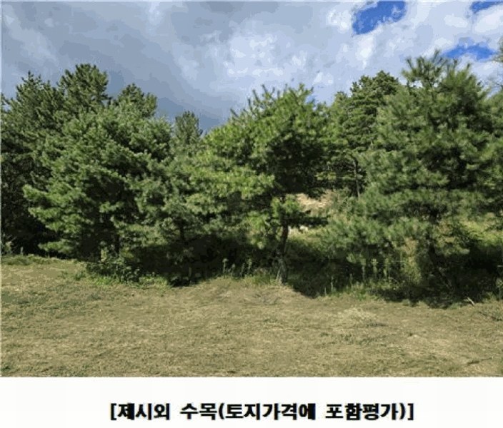 2025타경3841 대전광역시 동구 주촌동 139-1 근린시설 경매 이미지