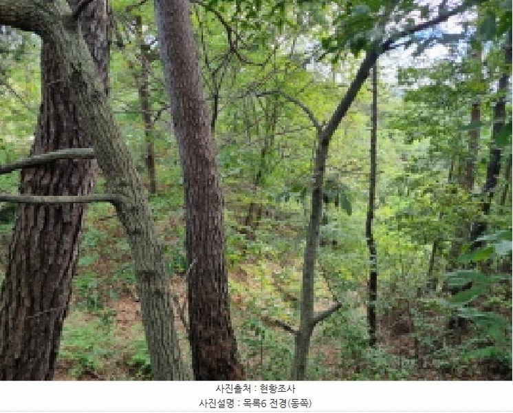2025타경3841 대전광역시 동구 주촌동 139-1 근린시설 경매 이미지