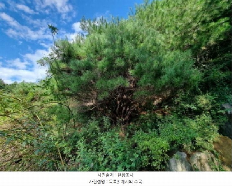 2025타경3841 대전광역시 동구 주촌동 139-1 근린시설 경매 이미지