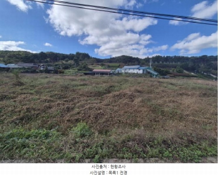 2025타경3889 세종특별자치시 금남면 달전리 316-8 농지 경매 이미지