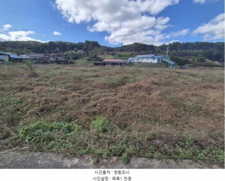2025타경3889 세종특별자치시 금남면 달전리 316-8 농지 경매 이미지