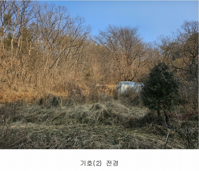 2025타경500605 대전광역시 동구 장척동 36 주택 경매 이미지