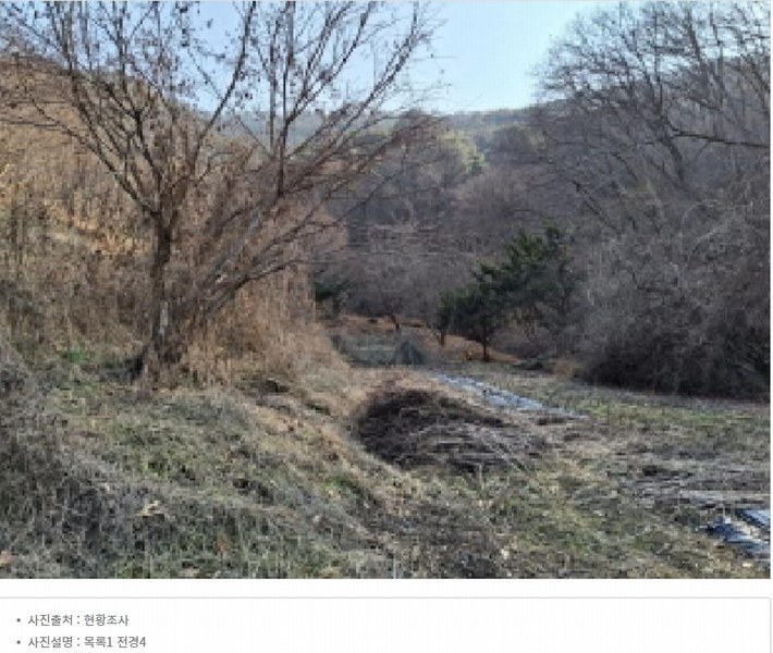 2025타경500605 대전광역시 동구 장척동 36 주택 경매 이미지