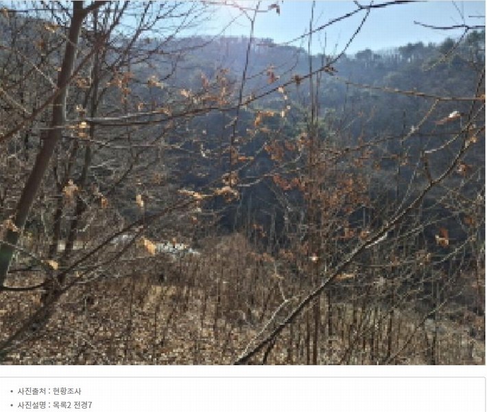 2025타경500605 대전광역시 동구 장척동 36 주택 경매 이미지