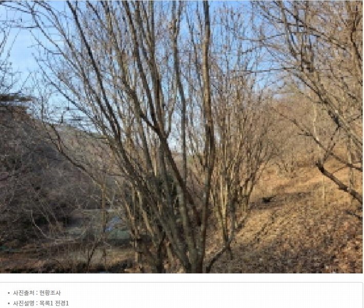 2025타경500605 대전광역시 동구 장척동 36 주택 경매 이미지