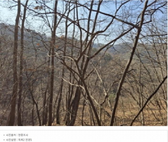 2025타경500605 대전광역시 동구 장척동 36 주택 경매 이미지