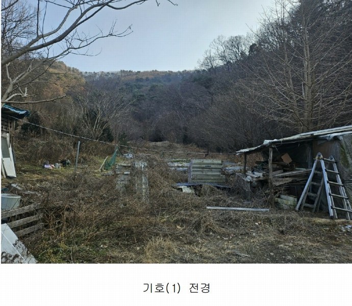 2025타경500605 대전광역시 동구 장척동 36 주택 경매 이미지