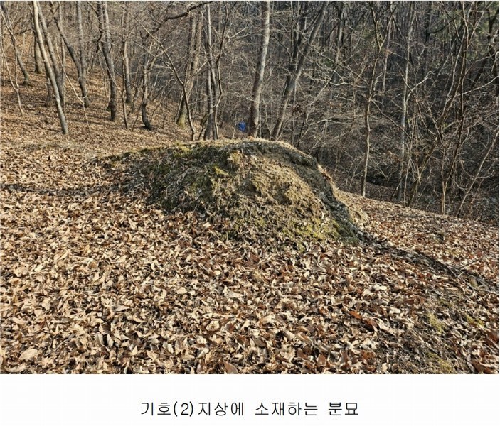 2025타경500605 대전광역시 동구 장척동 36 주택 경매 이미지