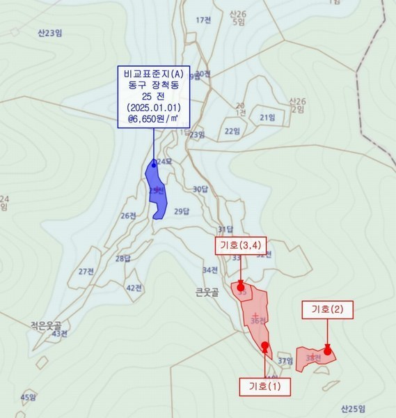 2025타경500605 대전광역시 동구 장척동 36 주택 경매 이미지