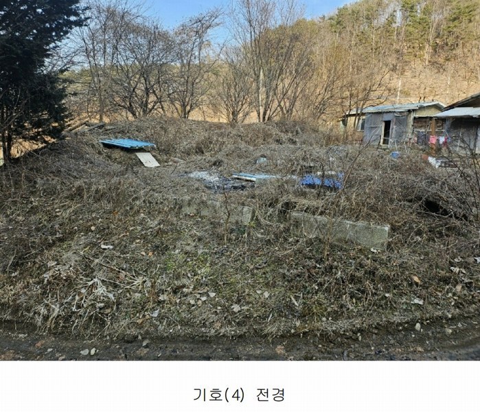 2025타경500605 대전광역시 동구 장척동 36 주택 경매 이미지