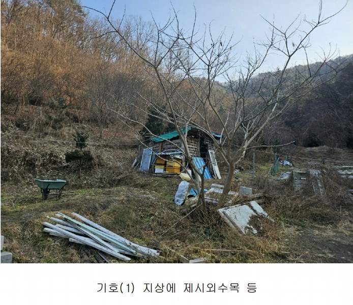 2025타경500605 대전광역시 동구 장척동 36 주택 경매 이미지