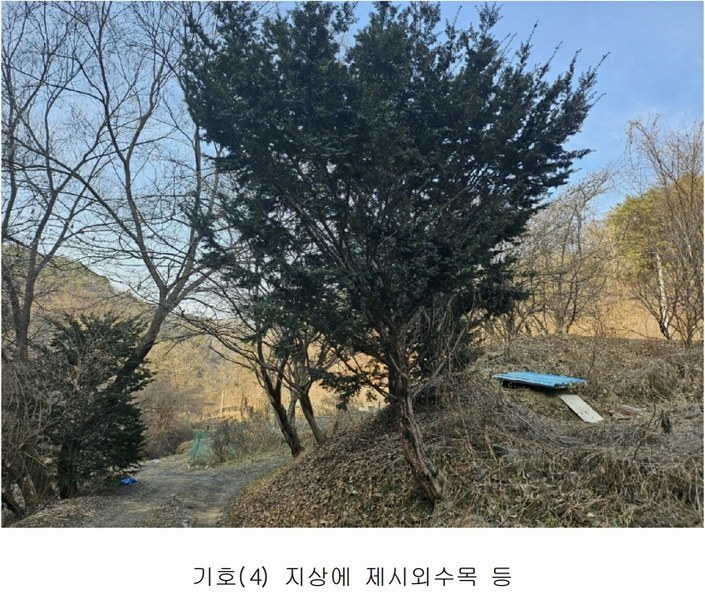 2025타경500605 대전광역시 동구 장척동 36 주택 경매 이미지