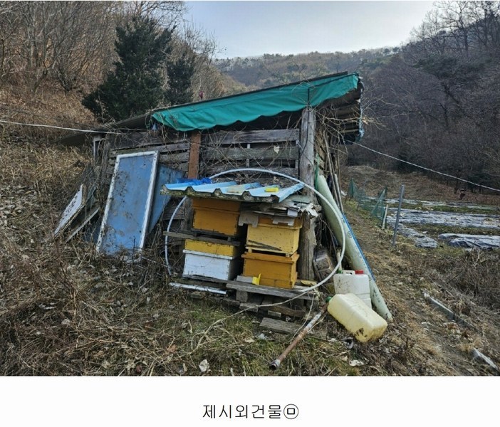 2025타경500605 대전광역시 동구 장척동 36 주택 경매 이미지
