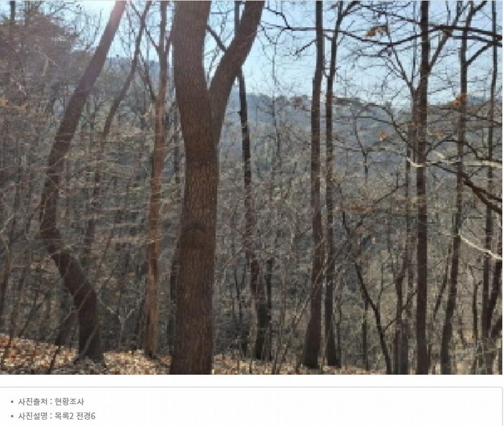 2025타경500605 대전광역시 동구 장척동 36 주택 경매 이미지
