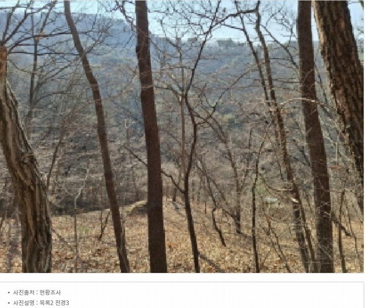 2025타경500605 대전광역시 동구 장척동 36 주택 경매 이미지