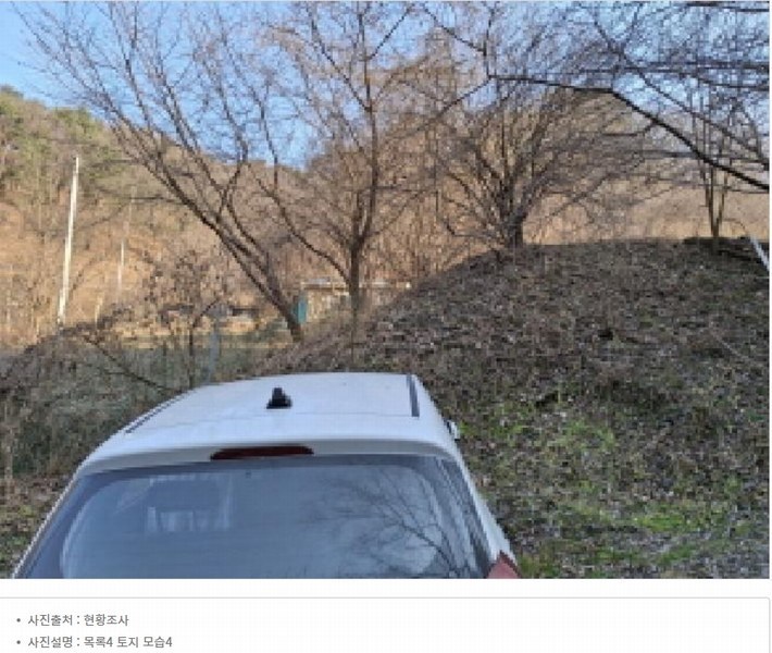 2025타경500605 대전광역시 동구 장척동 36 주택 경매 이미지