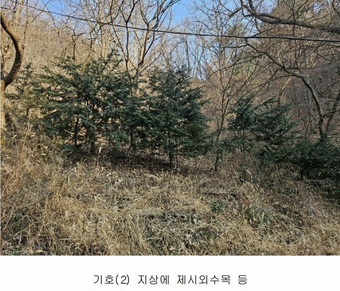 2025타경500605 대전광역시 동구 장척동 36 주택 경매 이미지