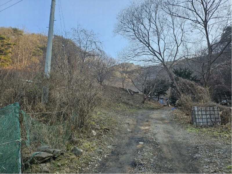 2025타경500605 대전광역시 동구 장척동 36 주택 경매 이미지