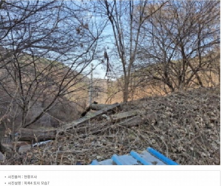 2025타경500605 대전광역시 동구 장척동 36 주택 경매 이미지