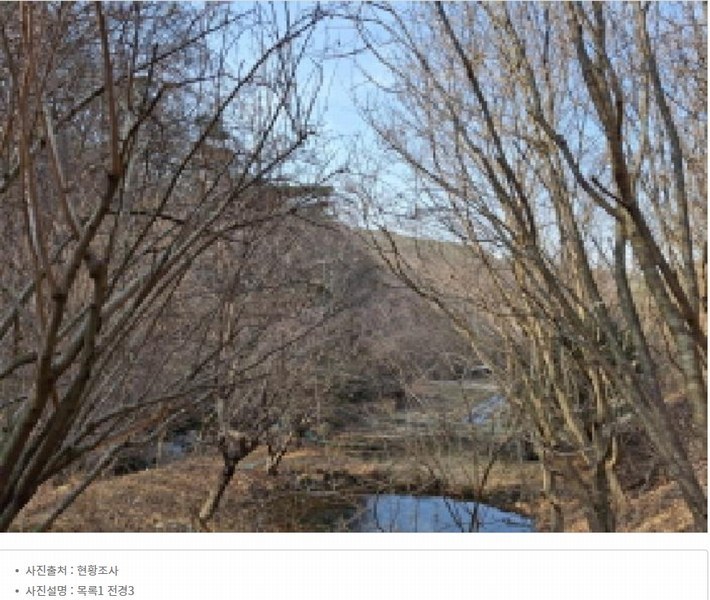 2025타경500605 대전광역시 동구 장척동 36 주택 경매 이미지