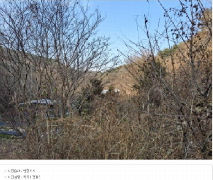 2025타경500605 대전광역시 동구 장척동 36 주택 경매 이미지