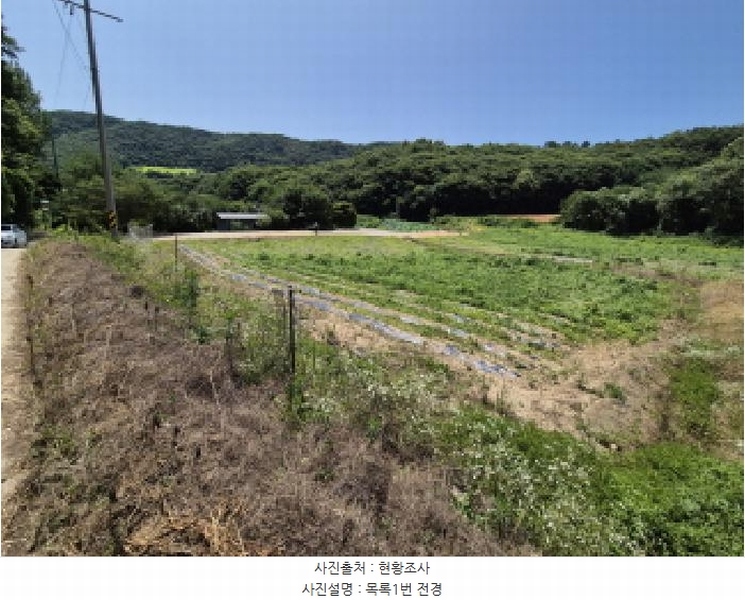 2025타경502815 세종특별자치시 장군면 송학리 450 농지 경매 이미지