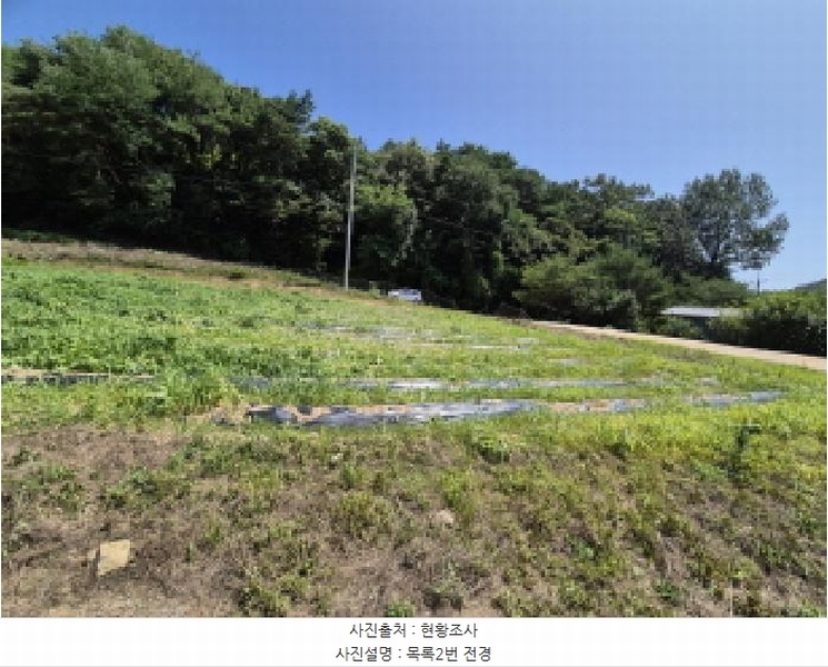 2025타경502815 세종특별자치시 장군면 송학리 450 농지 경매 이미지
