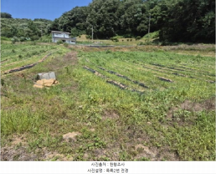 2025타경502815 세종특별자치시 장군면 송학리 450 농지 경매 이미지