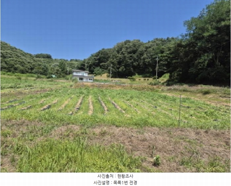 2025타경502815 세종특별자치시 장군면 송학리 450 농지 경매 이미지
