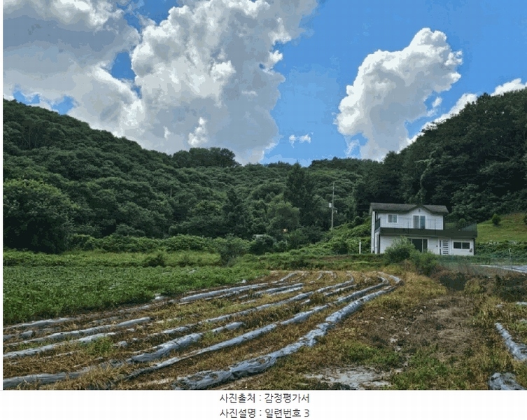2025타경502815 세종특별자치시 장군면 송학리 450 농지 경매 이미지