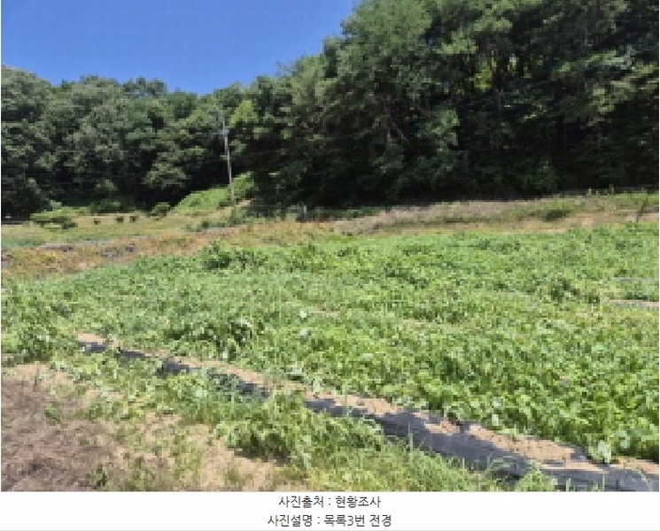2025타경502815 세종특별자치시 장군면 송학리 450 농지 경매 이미지