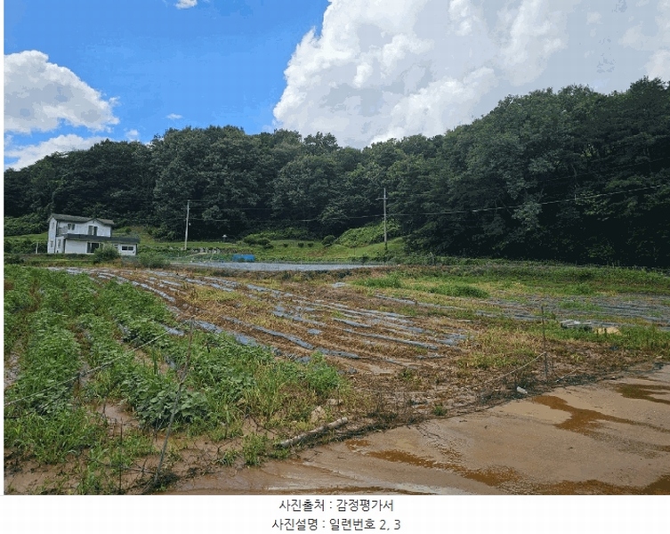 2025타경502815 세종특별자치시 장군면 송학리 450 농지 경매 이미지