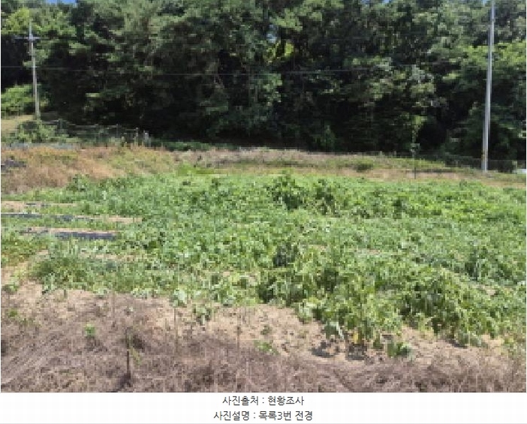2025타경502815 세종특별자치시 장군면 송학리 450 농지 경매 이미지
