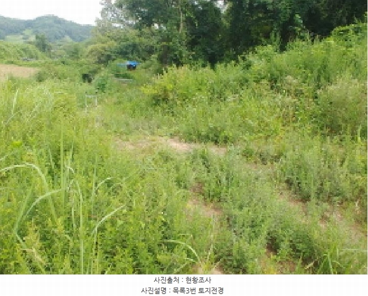 2025타경502953 충청남도 금산군 남이면 성곡리 268 농지 경매 이미지