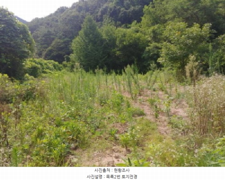 2025타경502953 충청남도 금산군 남이면 성곡리 268 농지 경매 이미지
